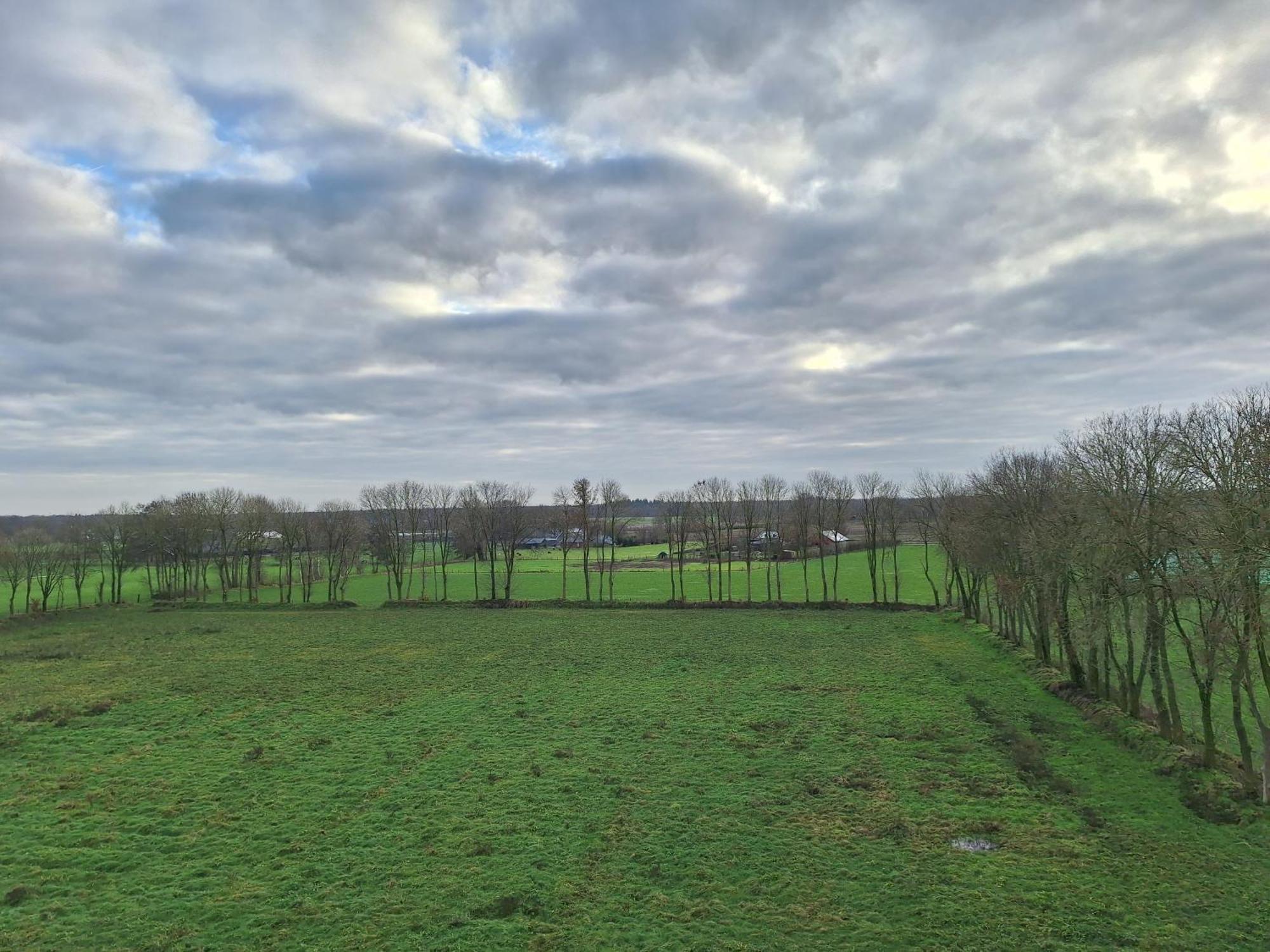 Ferienwohnung Lange Heide Otterlo Exterior foto